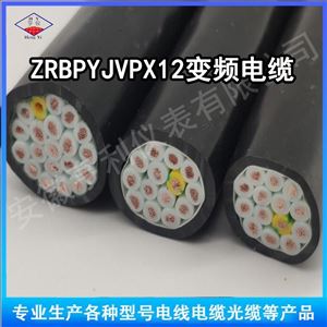 対绞变频电缆ZN-BPVVPP导体结构84/0.4