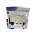 大鼠YY肽(PYY)檢測試劑盒