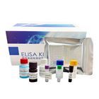 人ISLLIM同源框蛋白1(ISL1)檢測試劑盒