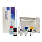 大鼠α1-酸性糖蛋白(α1AGP)檢測試劑盒