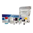 大鼠Wolfram綜合征蛋白1(WFS1)檢測試劑盒