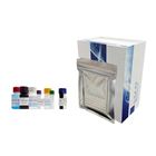 大鼠(VGF)檢測試劑盒全國包郵