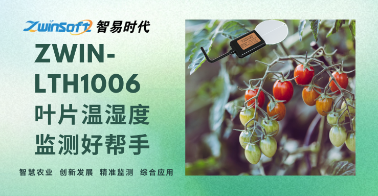 ZWIN-LTH1006：叶片温湿度监测好帮手