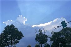 ��������Ϊ�������ĵ�δ���ṩ�������۵�