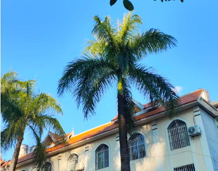 专家解读 | 创新数字人才培养模式 奠定数字中国建设坚实基础