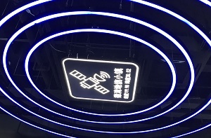 2025年软件与信息技术服务业市场：从“工具”到“共生伙伴”