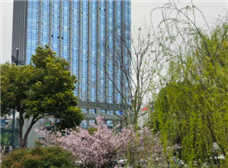 ��䱹��������ǻ�110�������ػ����е���