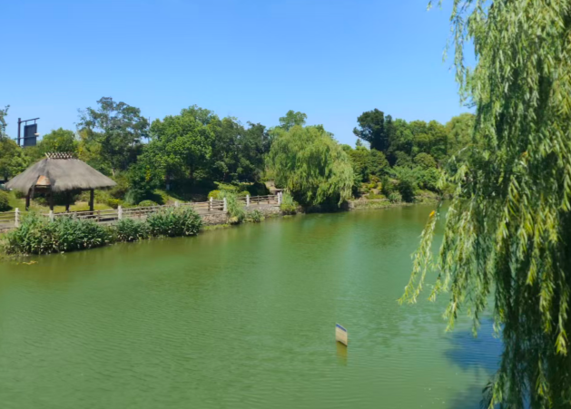 大数据集团与江都区携手共谋数字经济发展