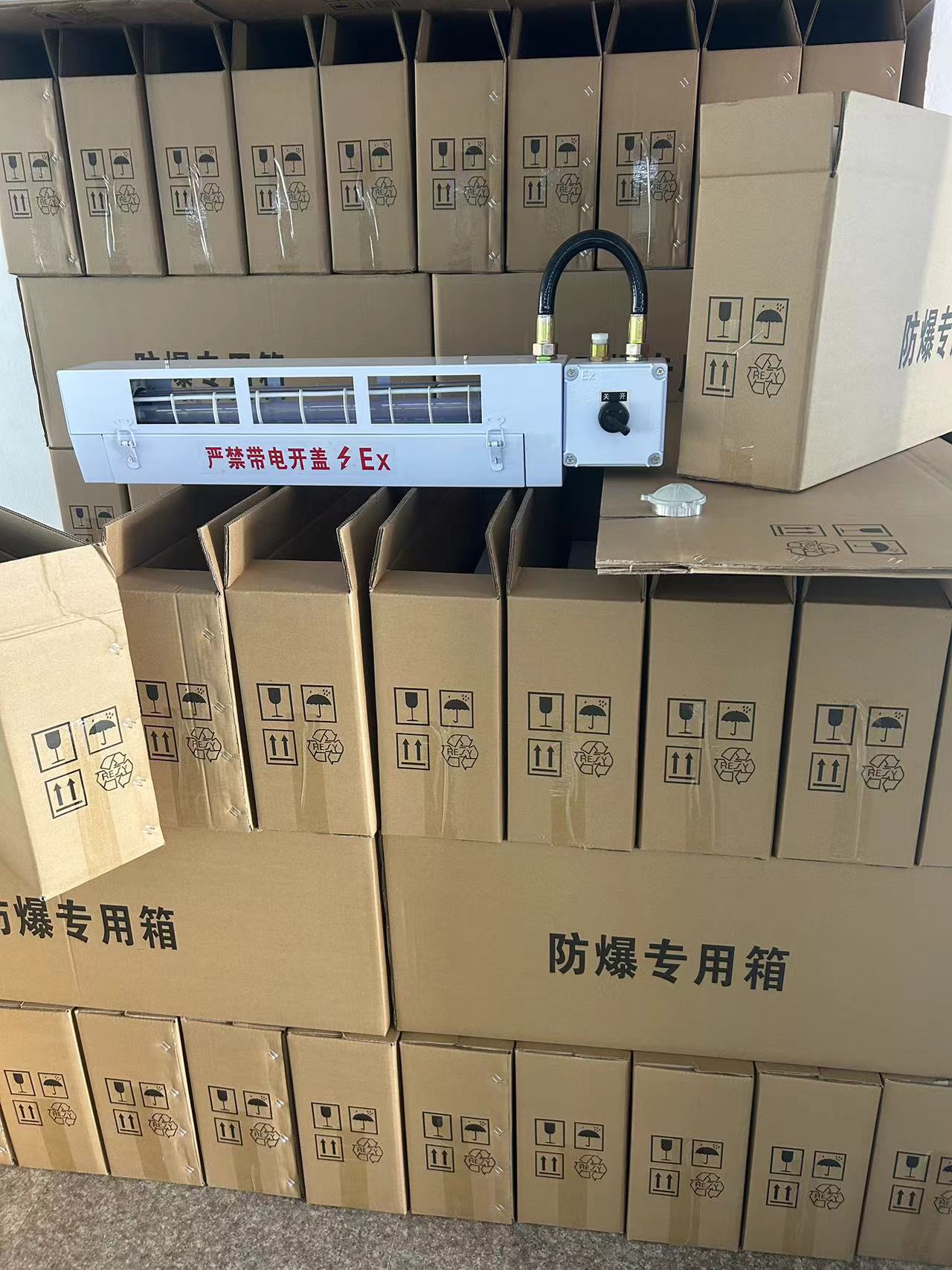 防爆灭蝇灯 (6).jpg