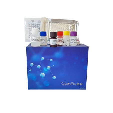 5.jpg 上海晶抗生物羊ELISA试剂盒组成详细介绍